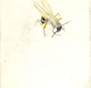 home2004のコピー