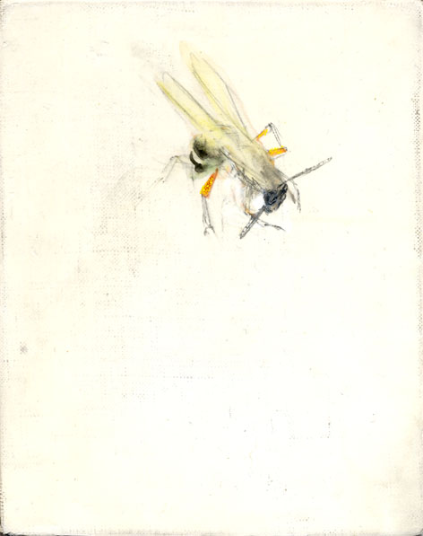 home2004のコピー