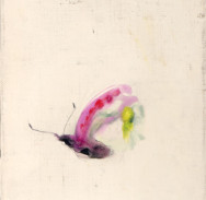 lilac2004のコピー