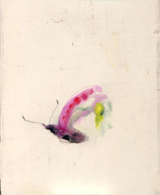 lilac2004のコピー