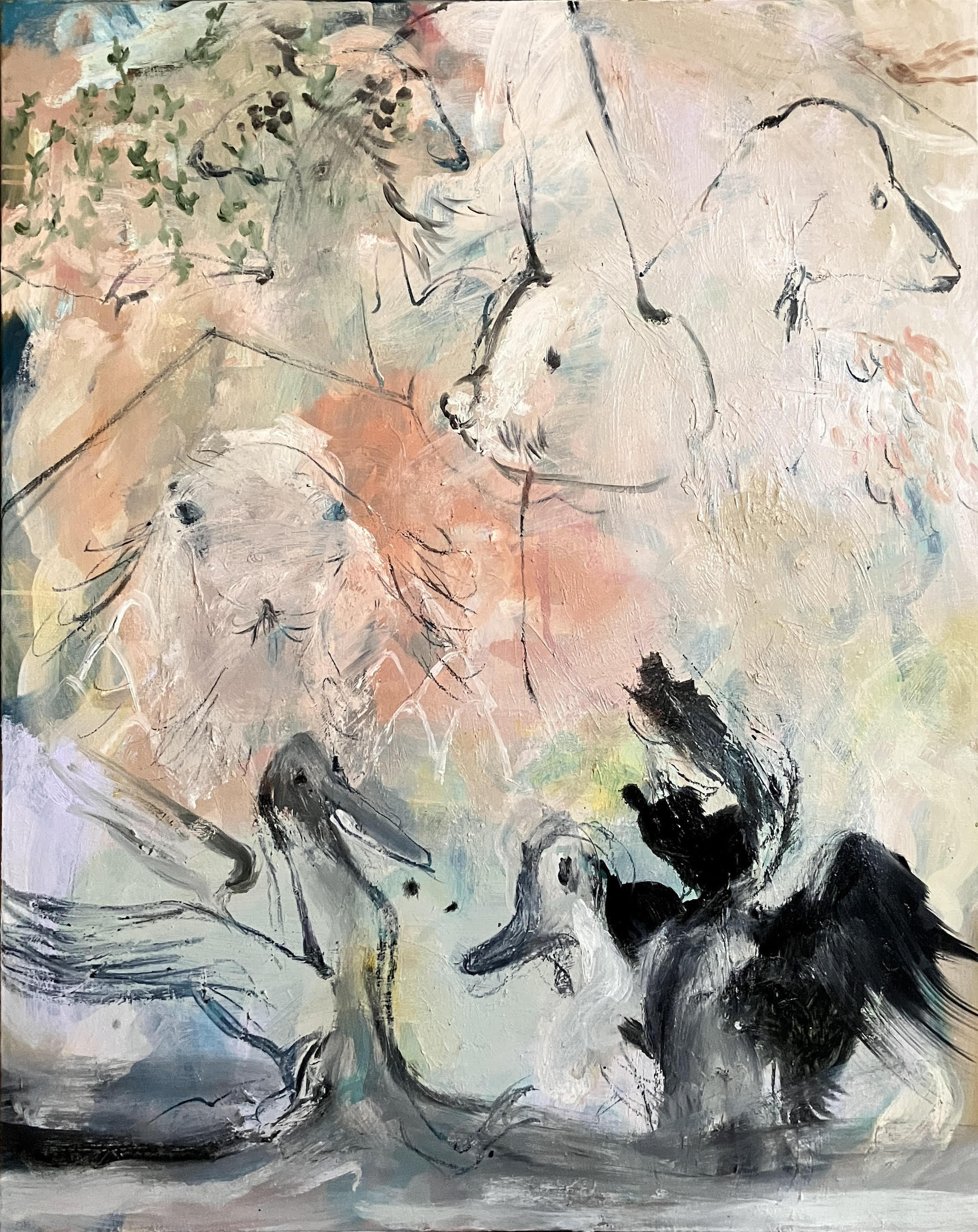 アシカのプール